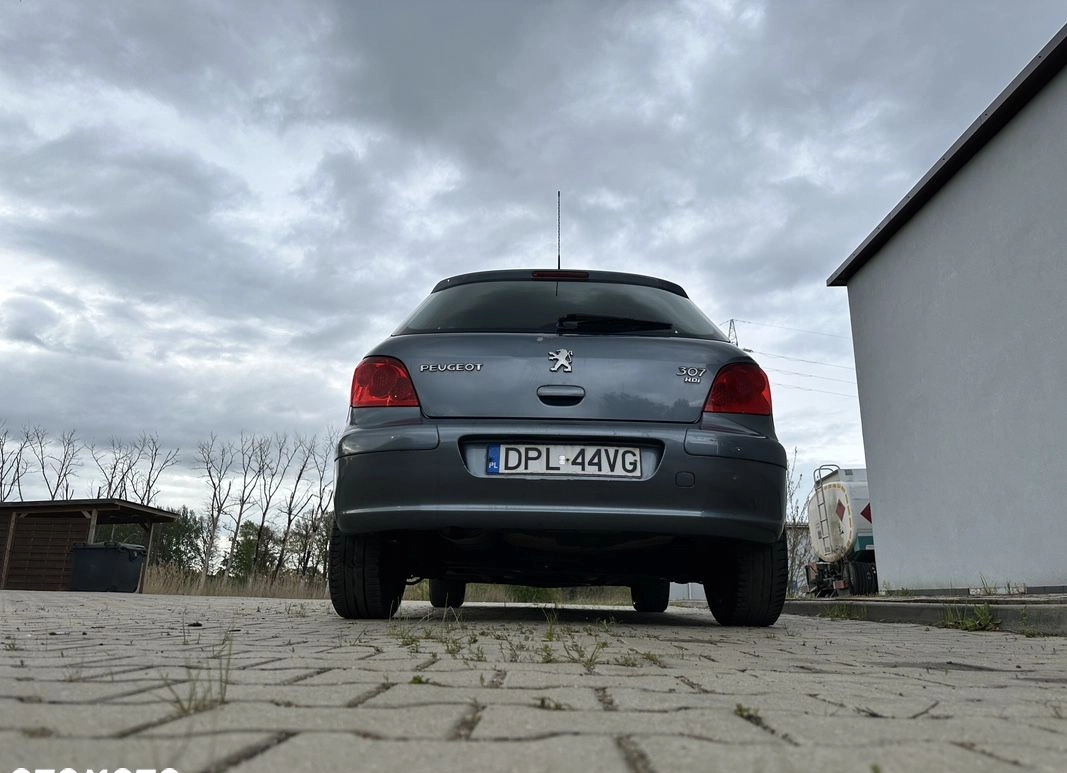 Peugeot 307 cena 7900 przebieg: 198929, rok produkcji 2005 z Chocianów małe 436